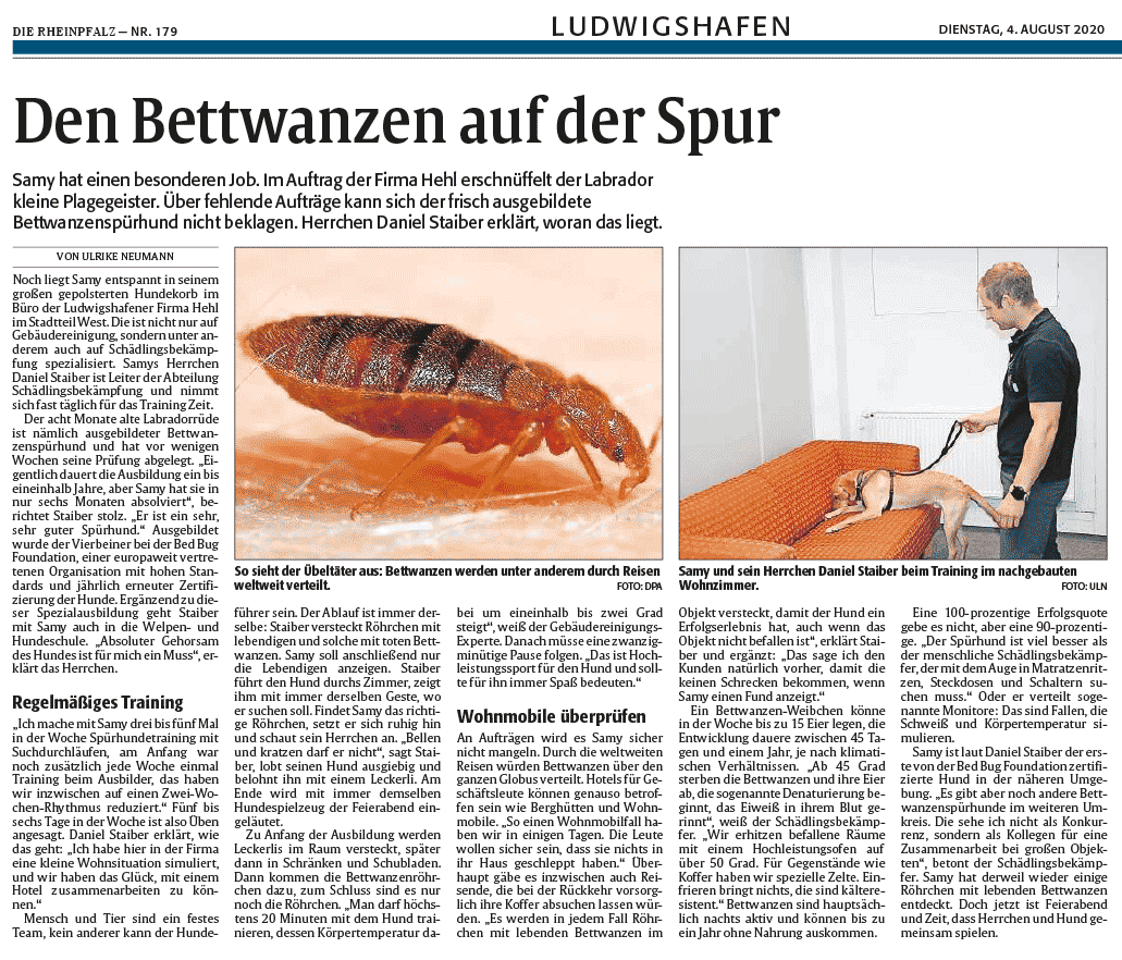 Bettwanzen bekämpfen 3 Rheinpfalz Tageszeitung: den Bettwanzen auf der Spur